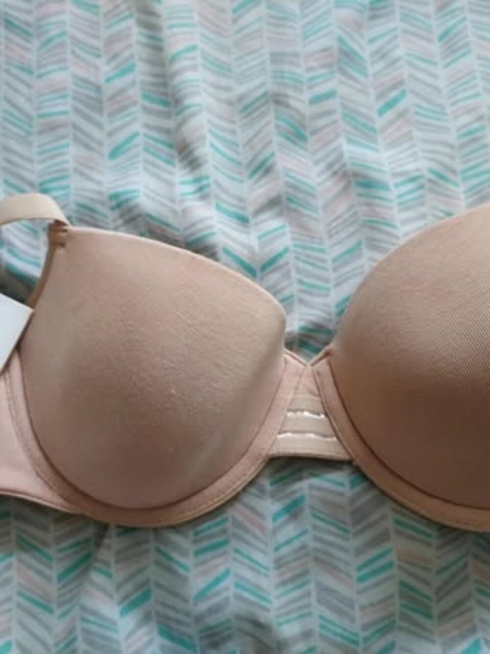White Rabbit NY Madison Bra 34B NWT